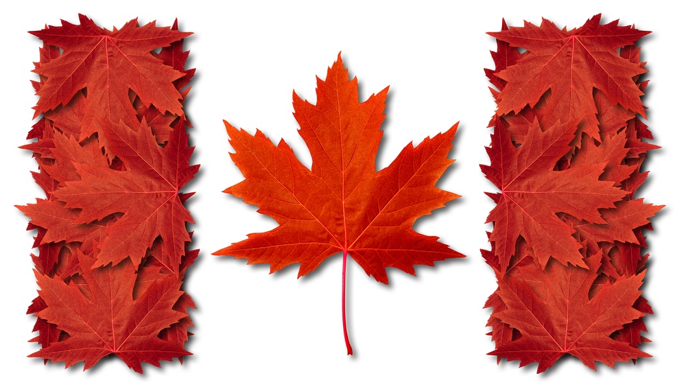 Canadian Flag in Maple Leafs